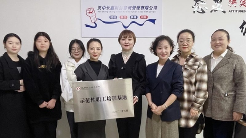 虚拟股权与期权区别