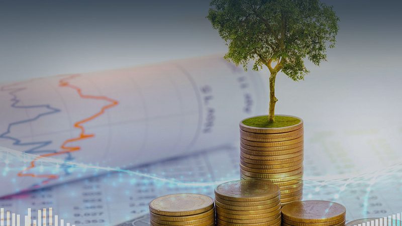跨境并购尽职调查：揭秘企业国际化布局的关键一步**